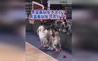 趙睿硬核表現！中國男籃勝日本！
