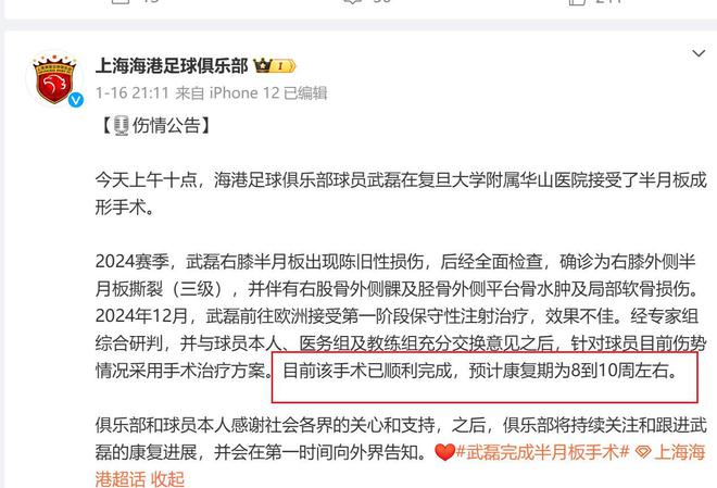 申花海港傷病球員盤點，一月至三月，可成豪華陣容